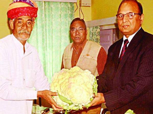 इतने वजन की हो गई सब्जियां