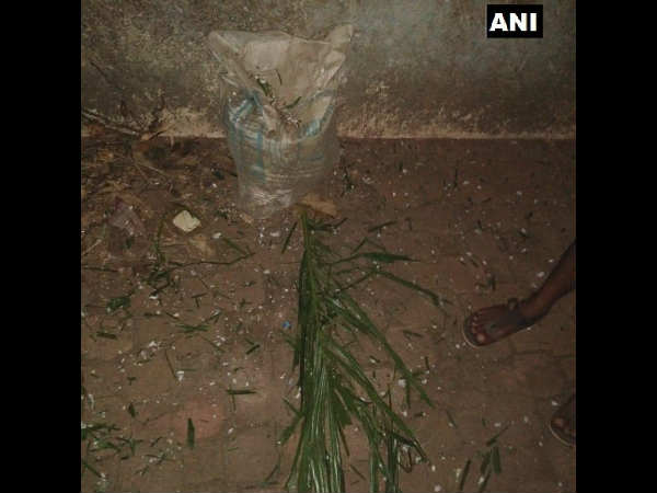 केरल में CPM विधायक एएन शमशीर के घर पर देसी बम से हमला केरल में CPM विधायक एएन शमशीर के घर पर देसी बम से हमला