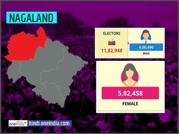 nagaland lok sabha nagaland lok sabha