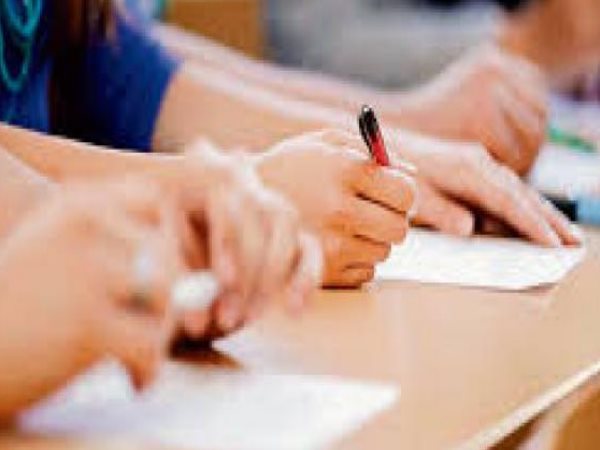 up amin recruitment 2019 will starts soon up amin recruitment 2019 will starts soon