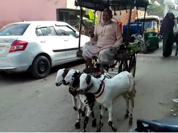 Agras Habib got famous for riding goat cart for 30 years Agras Habib got famous for riding goat cart for 30 years
