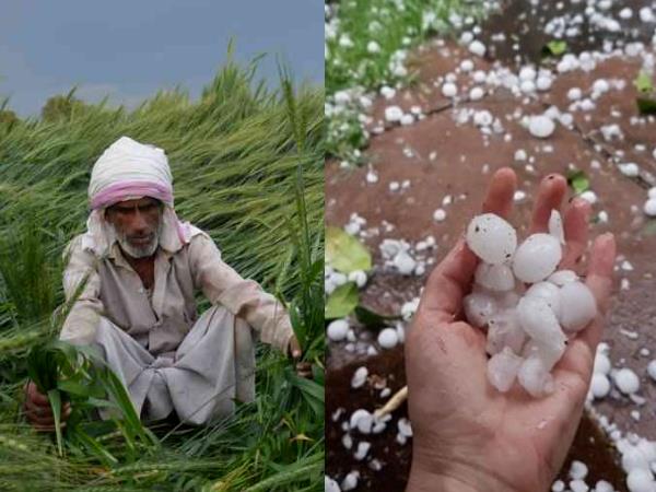30 crores sanctioned relief to farmers affected by wetlands in Madhya Pradesh 30 crores sanctioned relief to farmers affected by wetlands in Madhya Pradesh