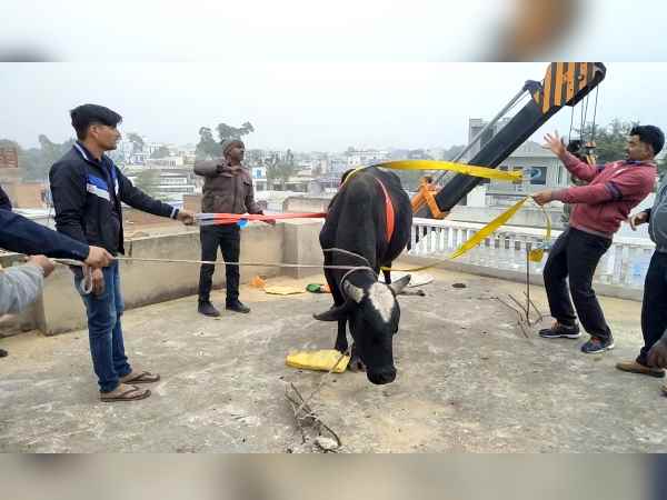 क्रेन की मदद से उतारा नीचे