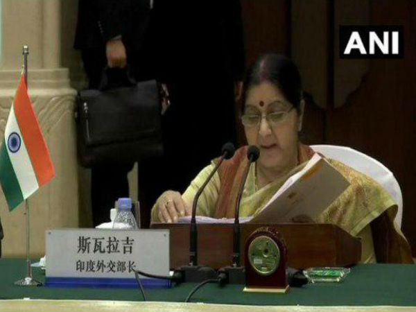 विदेश मंत्री ने उठाया पुलवामा आतंकी हमला