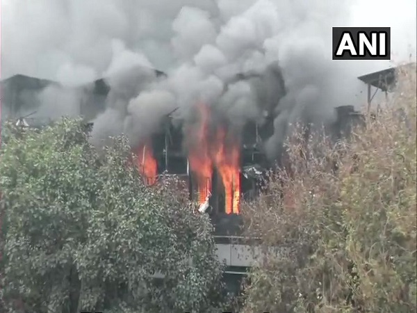 delhi: fire broke out at a paper card factory in Naraina Industrial Area delhi: fire broke out at a paper card factory in Naraina Industrial Area