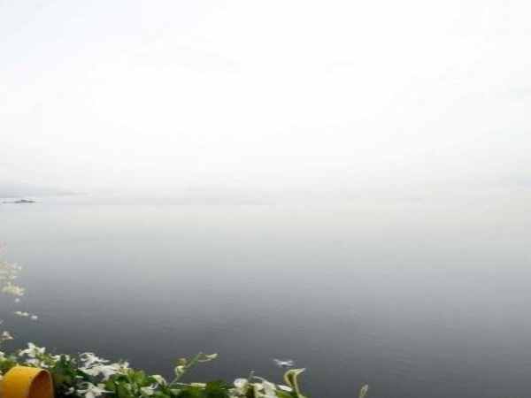 दो ने बीमारी बताई वजह, बाकी ने लिखा पति पसंद नहीं