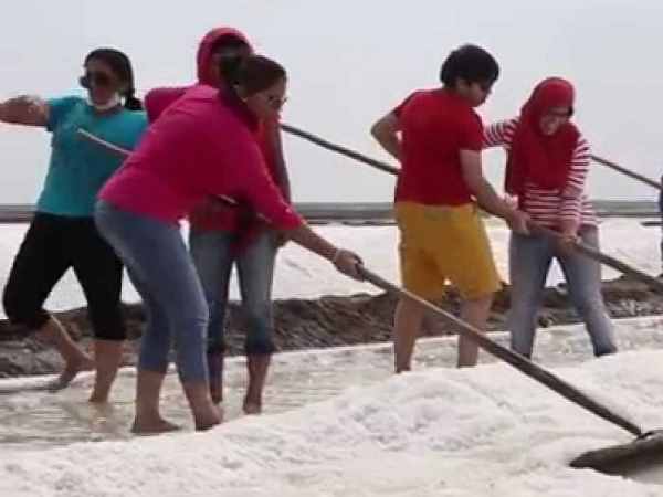 Gujarat government to buy solar power from salt pan workers Gujarat government to buy solar power from salt pan workers