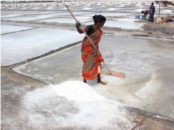 Gujarat government to buy solar power from salt pan workers Gujarat government to buy solar power from salt pan workers