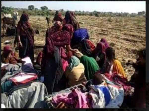 Gujarat: Leopard kills 3-year-old child in Junagadh Gujarat: Leopard kills 3-year-old child in Junagadh