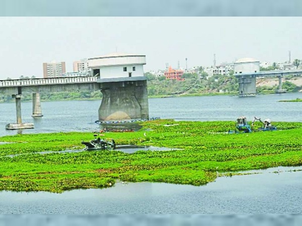 Master plan of tapi purification: 971 crore has been approved by Modi govt Master plan of tapi purification: 971 crore has been approved by Modi govt