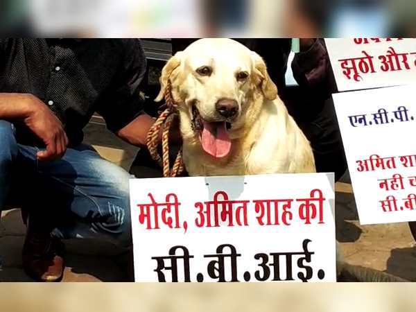 Unique protest in bhopal says Modi-Shahs CBI Unique protest in bhopal says Modi-Shahs CBI