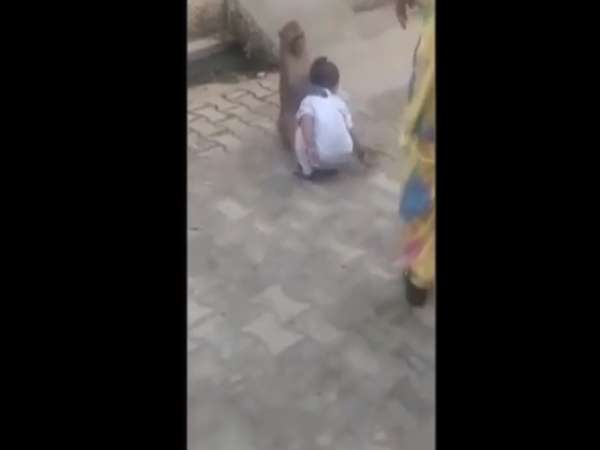 हरियाणा का बताया जा रहा है वीडियो