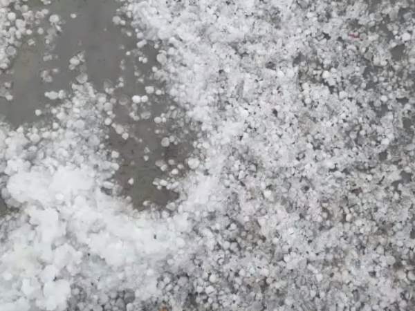 hailstorm in Bharatpur and tonk district of rajasthan hailstorm in Bharatpur and tonk district of rajasthan