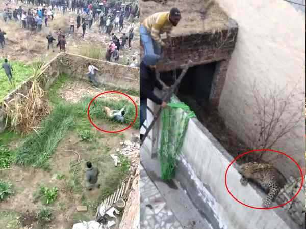 एक के बाद एक घर में घुसकर किया हमला