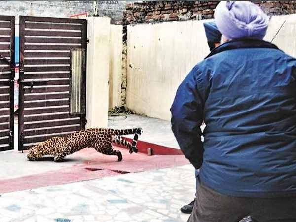 बेहोशी के इंजेक्शन दागे
