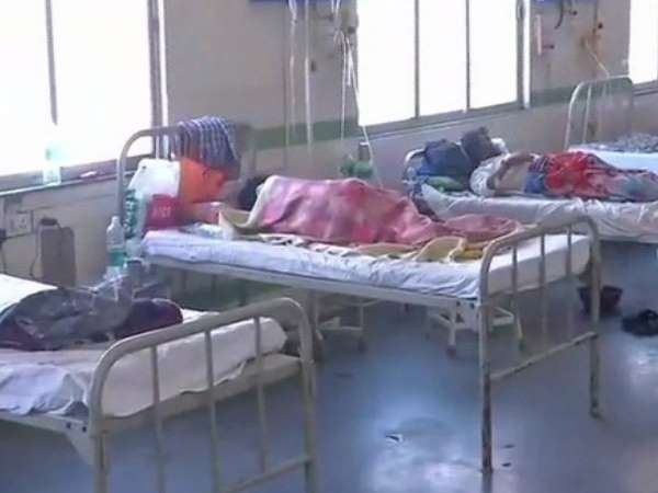 100 Cases Of Swine Flu detected In A Day In Rajasthan, Nine dead in 48 Hours 100 Cases Of Swine Flu detected In A Day In Rajasthan, Nine dead in 48 Hours