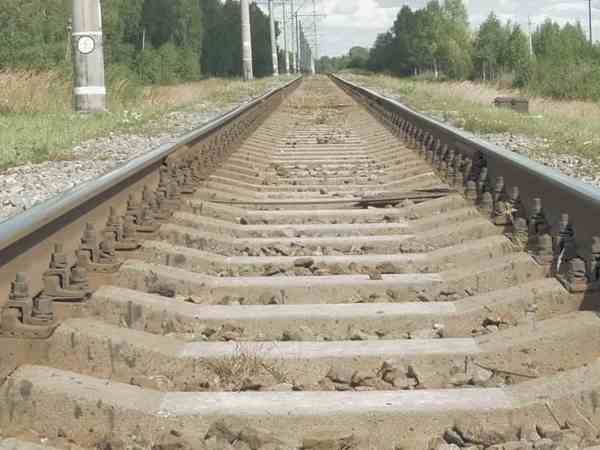 wife took extreme step along with her children wife took extreme step along with her children