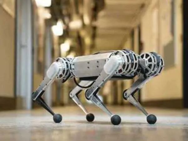 Massachusetts Institute of Technology made dog like robot Massachusetts Institute of Technology made dog like robot