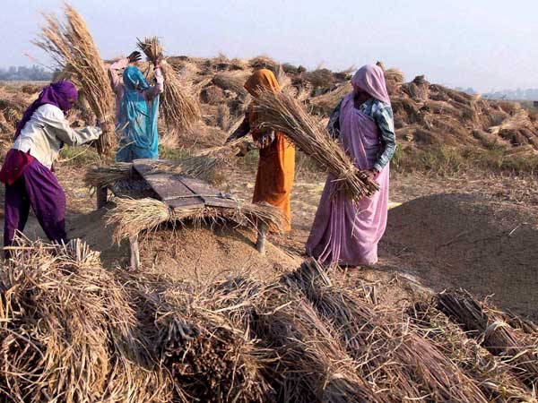 महिलाओं का रोजगार जाना है बड़ा मुद्दा