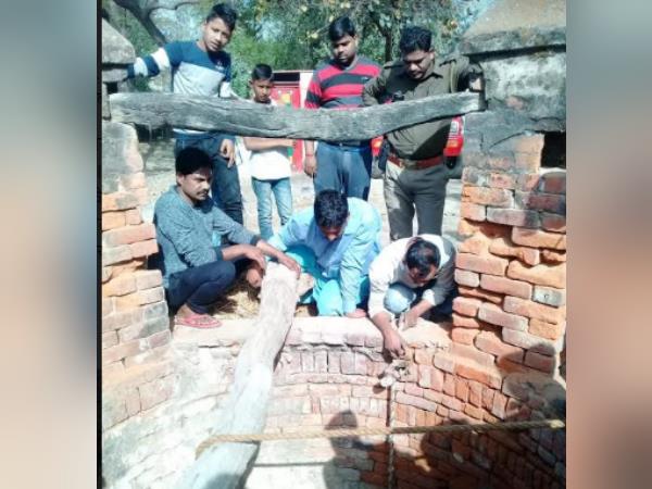 Muslim youth jumps into well to save cow Muslim youth jumps into well to save cow