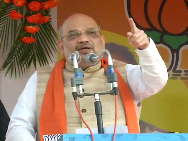 Amit Shah Explain why Rahul Gandhi Going to Contest Lok Sabha Election from Wayanad Amit Shah Explain why Rahul Gandhi Going to Contest Lok Sabha Election from Wayanad