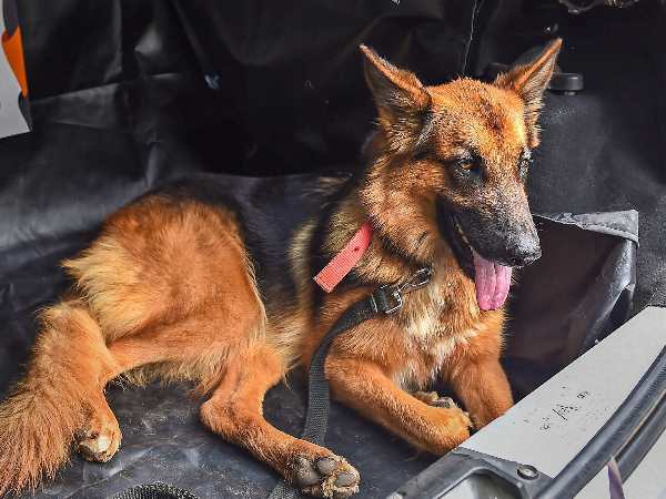पुलिस में दर्ज कराई शिकायत
