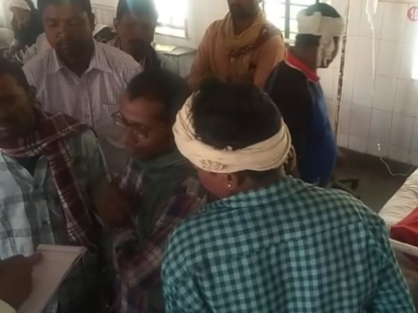 Bee attack in dungarpur Rajasthan Bee attack in dungarpur Rajasthan