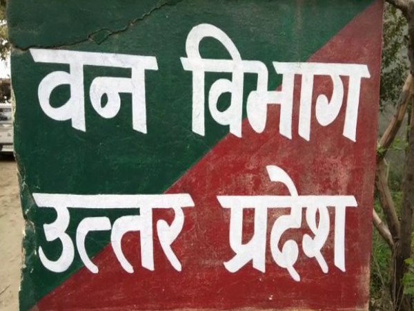 घड़ियालों की टैगिंग