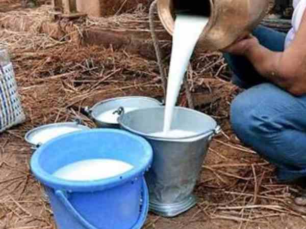 milkmaid shot dead in the market milkmaid shot dead in the market