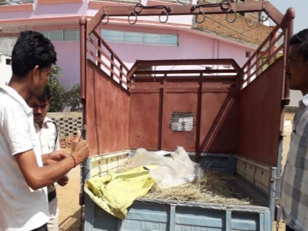 Mothers murder in damoh Mothers murder in damoh