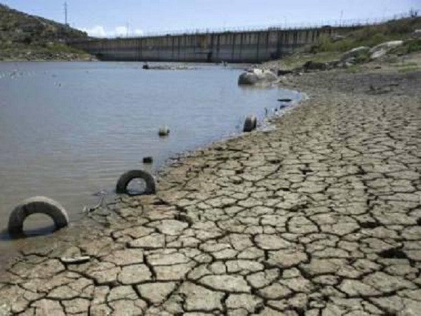 राज्य में कुल 203 जलाशय, 113 सूख चुके