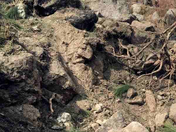 वायुसेना ने की थी स्ट्राइक