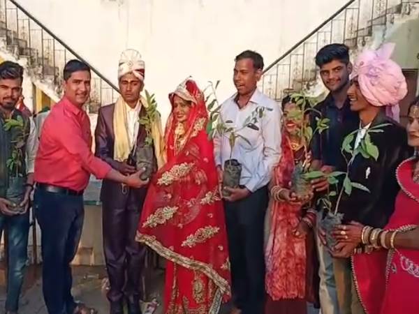 plants as wedding gift give to groom in vidisha Mp plants as wedding gift give to groom in vidisha Mp