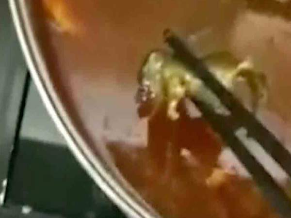 रेस्टोरेंट के सूप में मिला था मरा हुआ चूहा