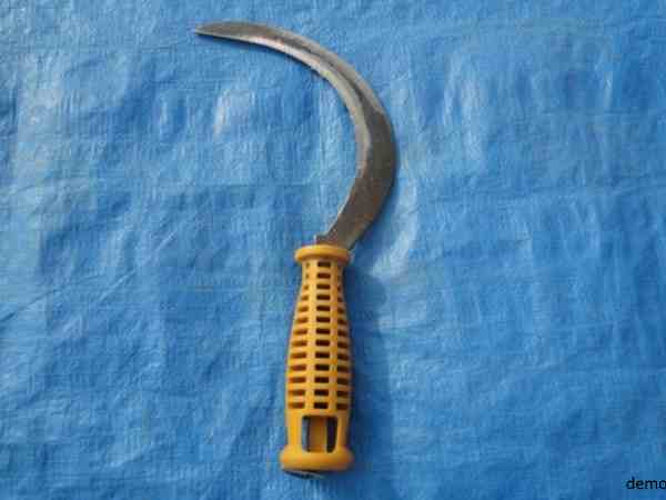 a boy killed in the market with sharp weapon a boy killed in the market with sharp weapon