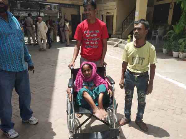 ox attacked woman at polling booth ox attacked woman at polling booth