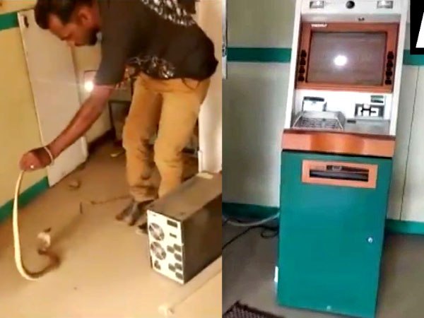 ATM के अंदर था खतरनाक सांप, देखिए कैसे पकड़ा गया ATM के अंदर था खतरनाक सांप, देखिए कैसे पकड़ा गया