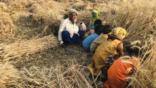 हेमा मालिनी की फ़ोटो हमारी मेहनत के साथ मज़ाक़ है हेमा मालिनी की फ़ोटो हमारी मेहनत के साथ मज़ाक़ है