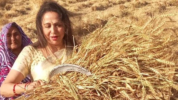 हेमा मालिनी की फ़ोटो हमारी मेहनत के साथ मज़ाक़ है हेमा मालिनी की फ़ोटो हमारी मेहनत के साथ मज़ाक़ है