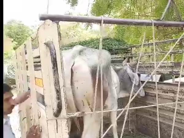 बयान लेने में भी पुलिस आनाकानी कर रही