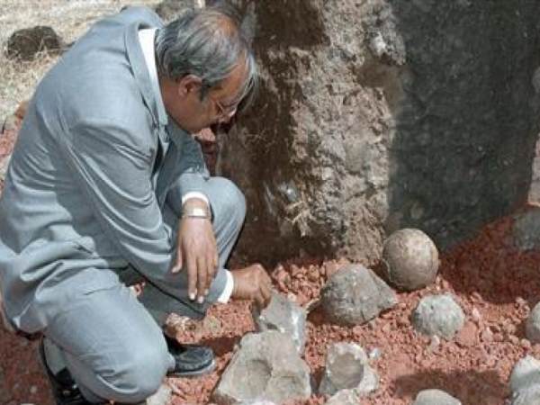 children stolen dinosaurs eggs from Dhar museum MP children stolen dinosaurs eggs from Dhar museum MP