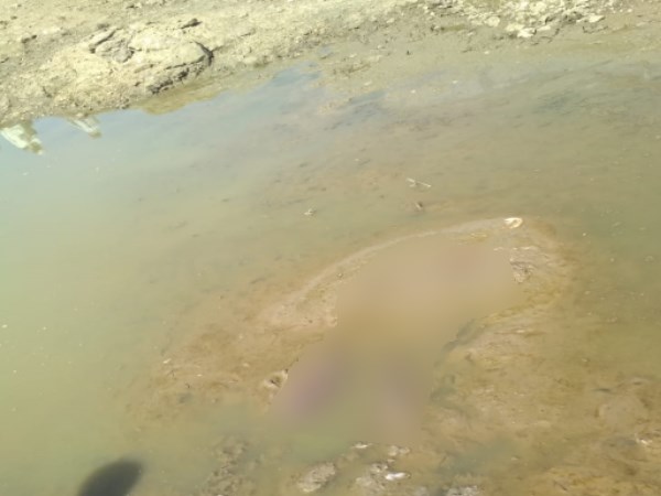 Mystery became the death of two person in pratapgarh and bharatpur Mystery became the death of two person in pratapgarh and bharatpur