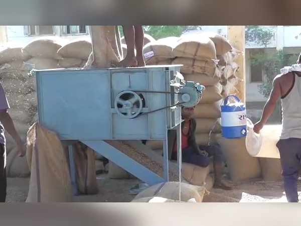 Gujarat: Corruption caught in government-procurement of Arhar pulse Gujarat: Corruption caught in government-procurement of Arhar pulse
