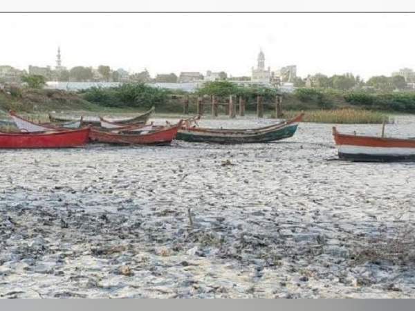 Gujarat has so much Narmada water this year, but drought hit the lands, while river gave salt! Gujarat has so much Narmada water this year, but drought hit the lands, while river gave salt!