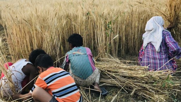 हेमा मालिनी की फ़ोटो हमारी मेहनत के साथ मज़ाक़ है हेमा मालिनी की फ़ोटो हमारी मेहनत के साथ मज़ाक़ है