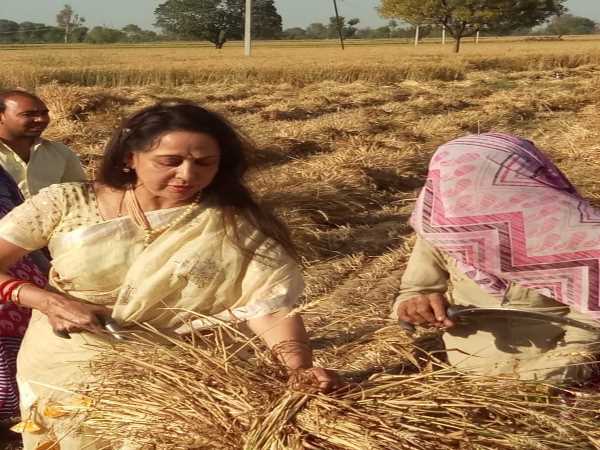 महीने की शुरुआत में विवाद में फंसी