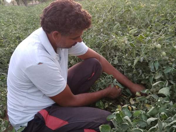 प्रत्येक सीजन तीन लाख तक कमाई की उम्मीद