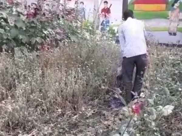 illegal opium cultivation caught in Sdm office illegal opium cultivation caught in Sdm office