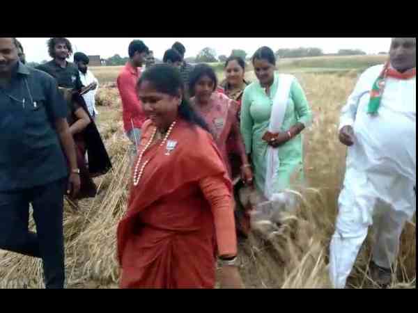 after hema bjp minister sadhvi niranjan harvesting wheat after hema bjp minister sadhvi niranjan harvesting wheat