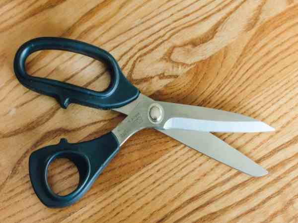 son brutally killed her mother by scissor son brutally killed her mother by scissor